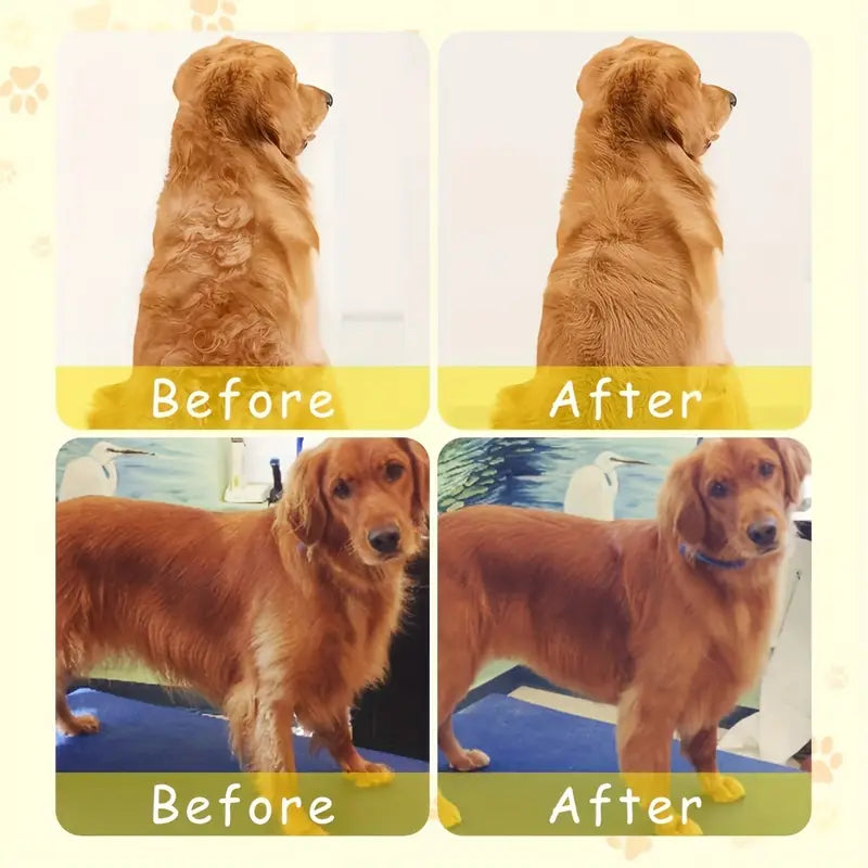 💥 PetBrush™ Cepillo Vapor para Mascotas 🐶🐱💨✨